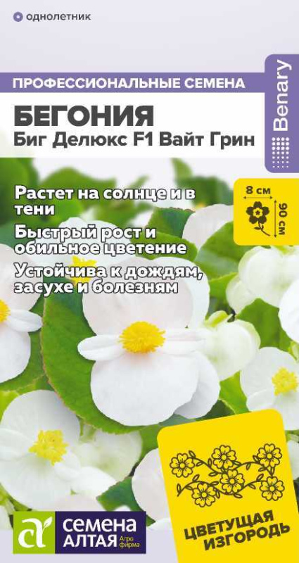 Бегония Биг Делюкс F1 Вайт грин/Сем Алт/цп 3 шт.