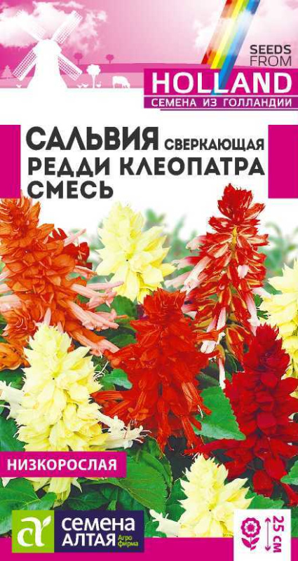 Сальвия Редди Клеопатра сверкающая/Сем Алт/цп 5 шт.