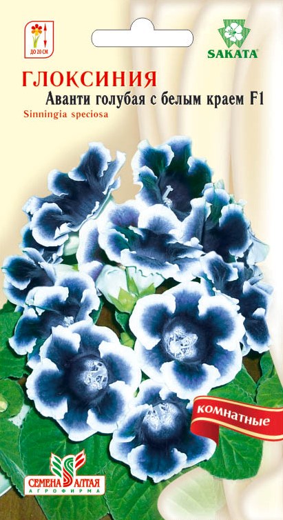 Глоксиния Аванти F1 Голубая с белым краем/Сем Алт/цп 8 шт.