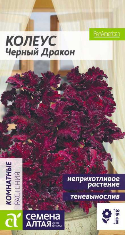 Колеус Черный Дракон/Сем Алт/цп 10 шт.
