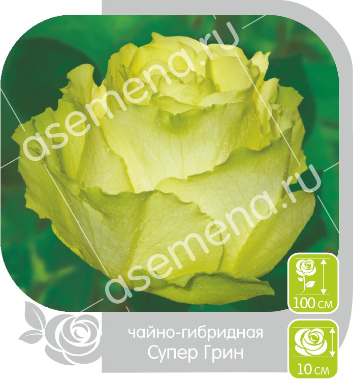 Супер Грин/Сем Алт/1шт. в коробке