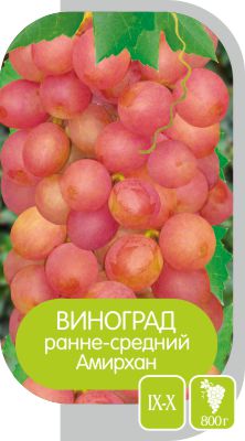 Амирхан/Сем Алт/1шт. в коробке