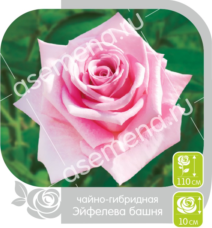 Эйфелева Башня/Сем Алт/1шт. в коробке