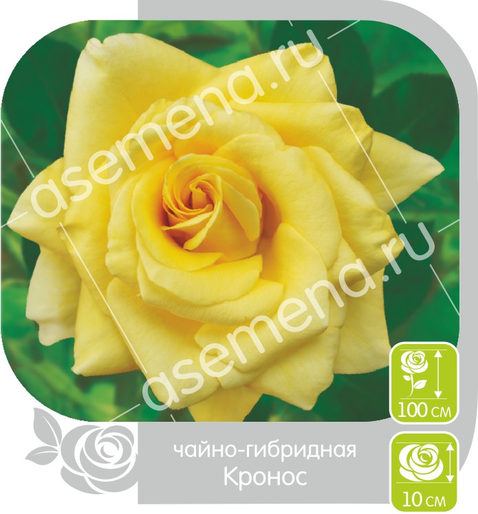 Кронос/Сем Алт/1шт. в коробке