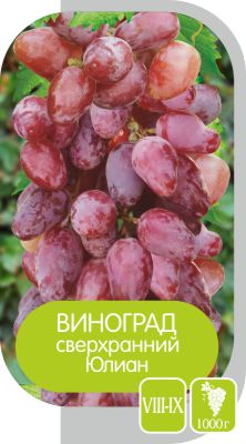 Юлиан/Сем Алт/1шт. в коробке