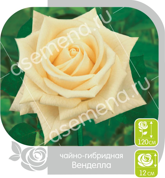 Венделла/Сем Алт/1шт. в коробке