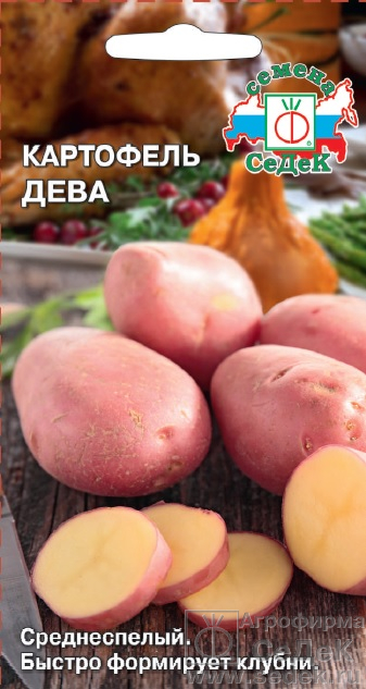 Картофель Дева/Седек/цп