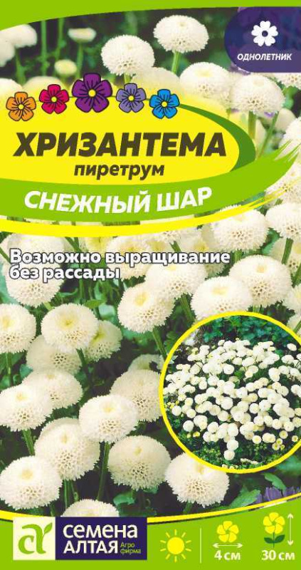 Хризантема Снежный шар пиретрум/Сем Алт/цп 0,01 гр.