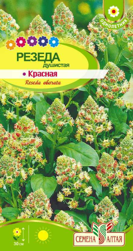Резеда Душистая красная/Сем Алт/цп 0,2гр.