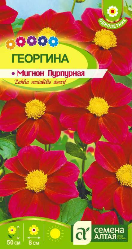 Георгина Мигнон Пурпурная/Сем Алт/цп 0,2 гр.