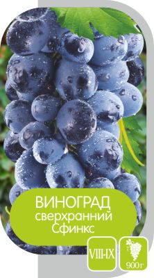 Сфинкс/Сем Алт/1шт. в коробке виноград
