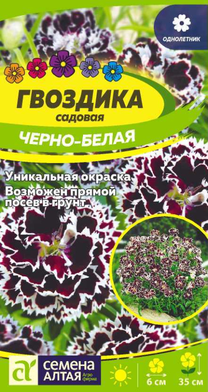 Гвоздика Черно-белая геддевига/Сем Алт/цп 0,04 гр.