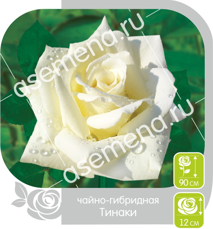 Тинаки/Сем Алт/1шт. в коробке