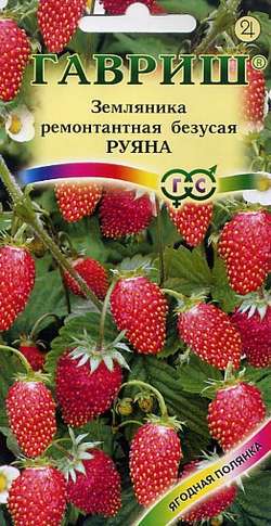 Руяна ремонтантная безусая земляника /Гавриш/цп 0,03 гр