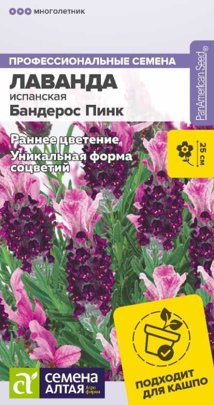 Лаванда Бандерос Пинк испанская/Сем Алт/цп 5 шт.