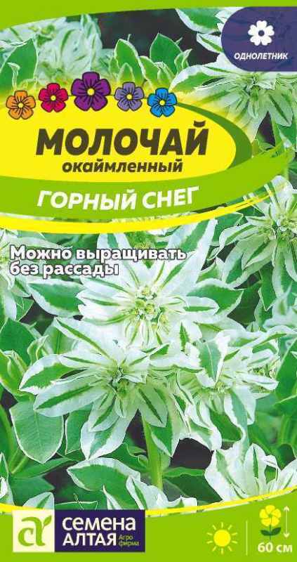Молочай Горный снег окаймленный/Сем Алт/цп 0,5 гр.