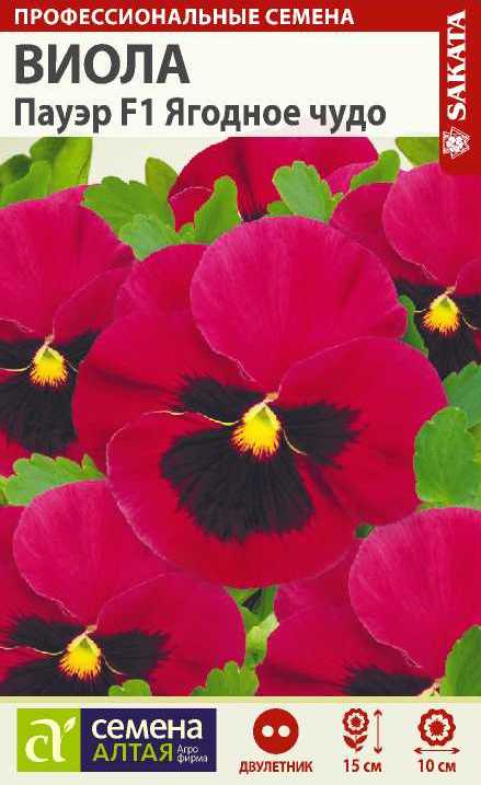 Виола Пауэр F1 Ягодное чудо/Сем Алт/цп 5 шт.