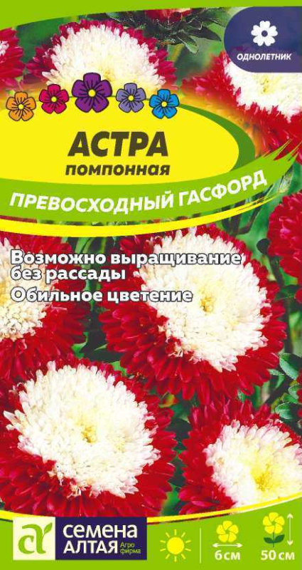 Астра Превосходный Гасфорд помпонная/Сем Алт/цп 0,2 гр.