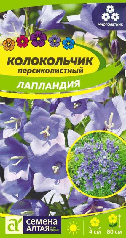 Колокольчик Лапландия персиколистный/Сем Алт/цп 0,05 гр.
