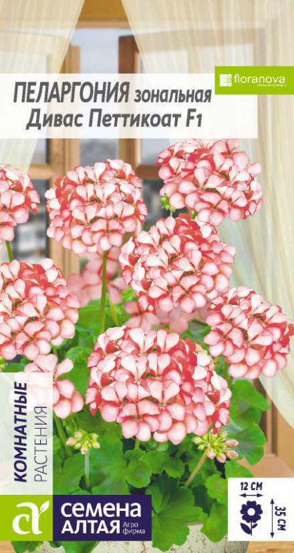 Пеларгония Дивас F1 Петтикоат зональная/Сем Алт/цп 4 шт.