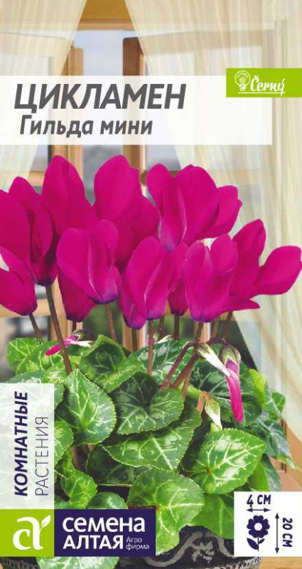 Цикламен Гильда мини/Сем Алт/цп 3 шт.