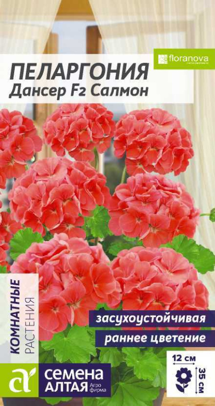 Пеларгония Дансер F2 Салмон зональная/Сем Алт/цп 4 шт.