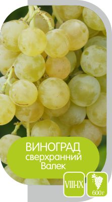 Валек/Сем Алт/1шт. в коробке