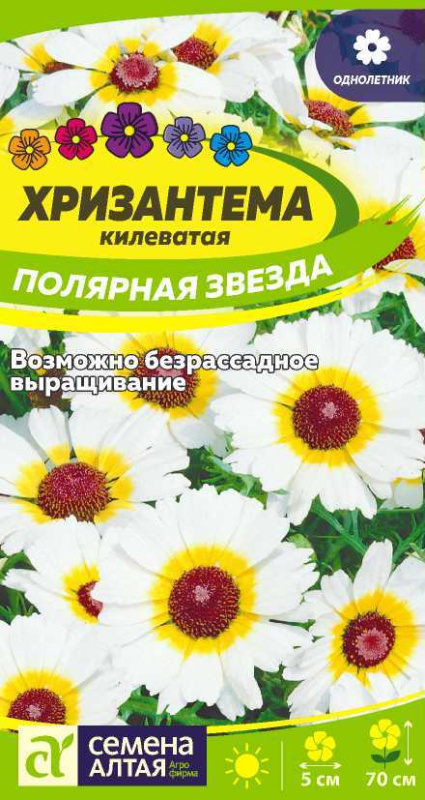Хризантема Полярная Звезда килеватая/Сем Алт/цп 0,1 гр.