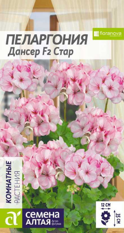 Пеларгония Дансер F2 Стар зональная/Сем Алт/цп 4 шт.