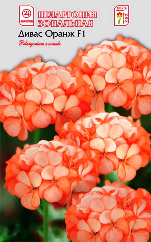 Пеларгония Дивас F1 Оранж Айс зональная/Сем Алт/цп 4 шт.