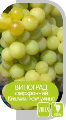 Кишмиш жемчужина/Сем Алт/1шт. в коробке
