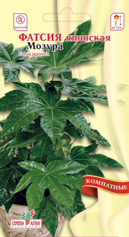Фатсия Мозура японская/Сем Алт/цп 4 шт.
