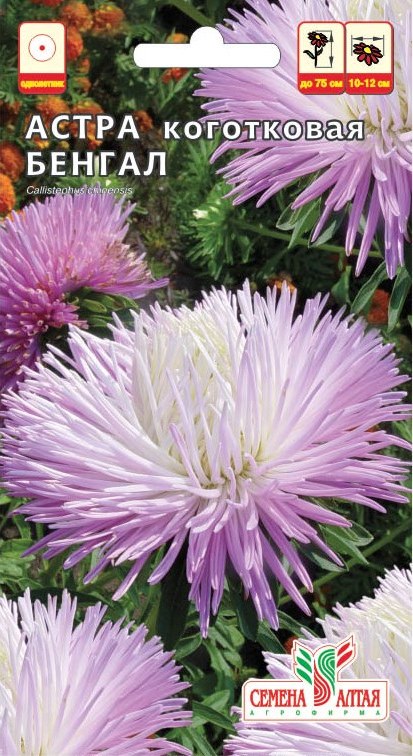 Астра Бенгал коготковая /Сем Алт/цп 0,2 гр.