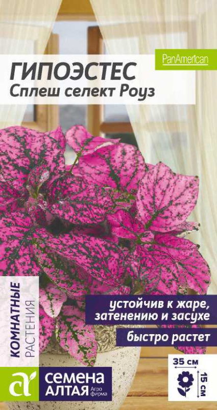 Гипоэстес Сплеш селект Роуз/Сем Алт/цп 5 шт.