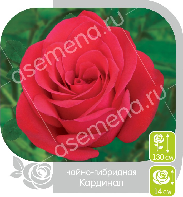 Кардинал/Сем Алт/1 шт. в коробке