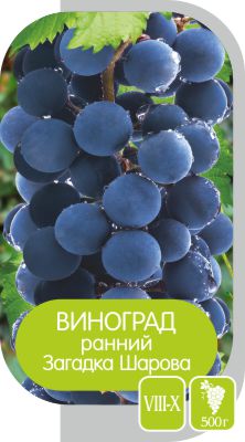Загадка Шарова/Сем Алт/1шт. в коробке